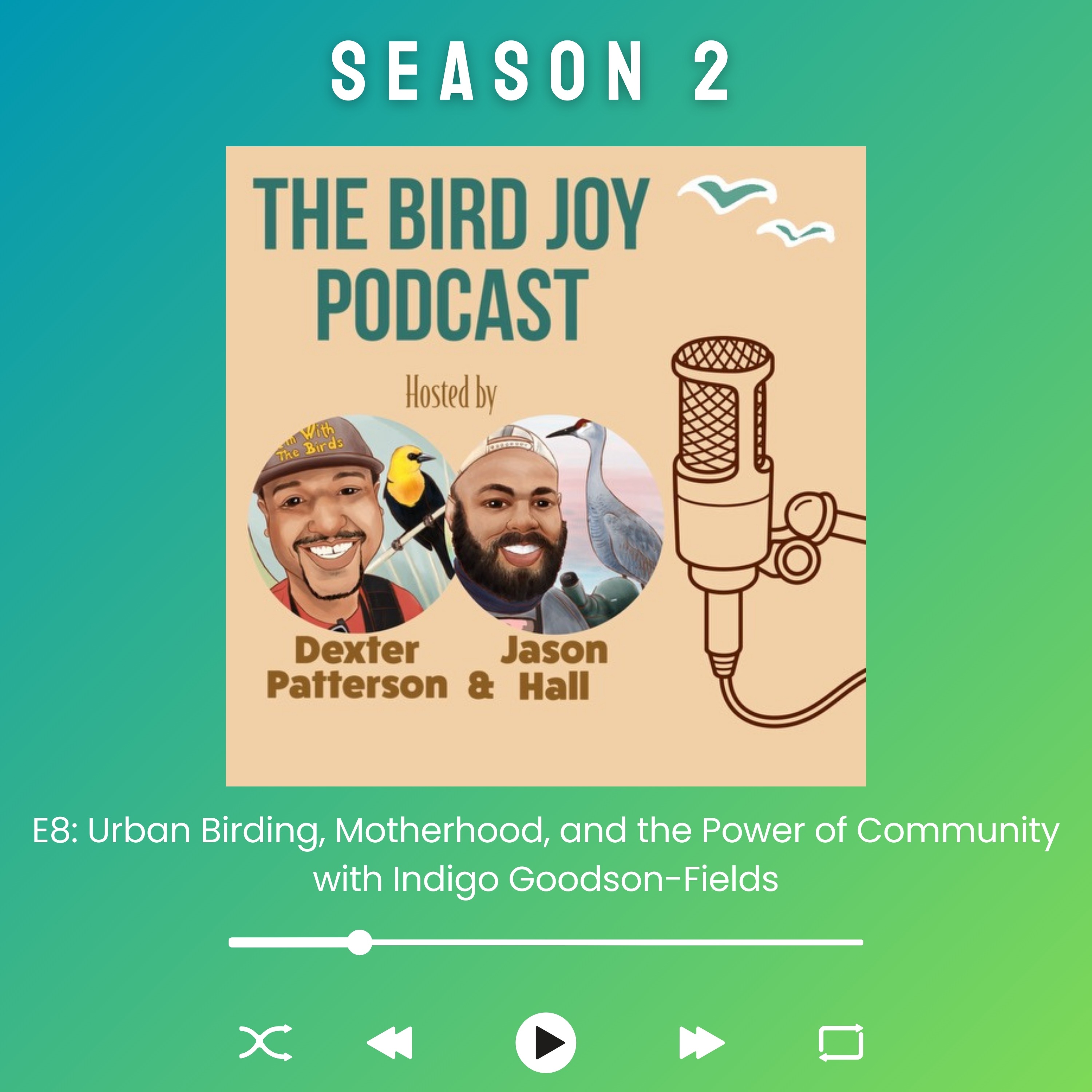 The Bird Joy Podcast
