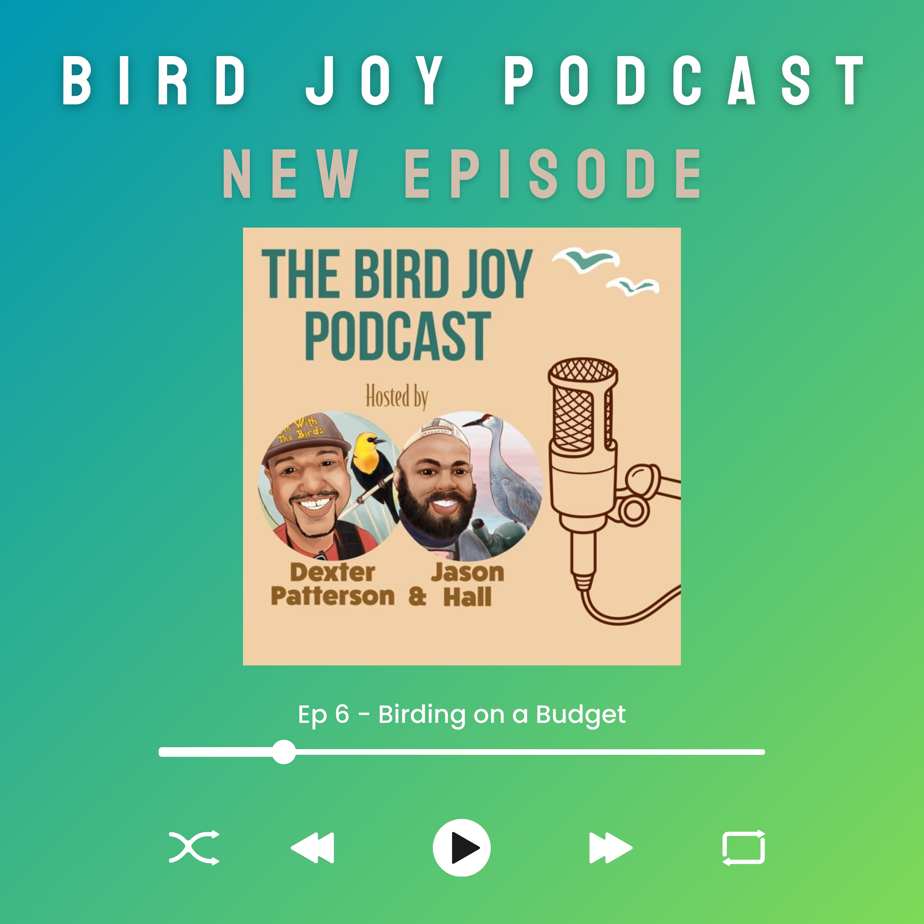 The Bird Joy Podcast