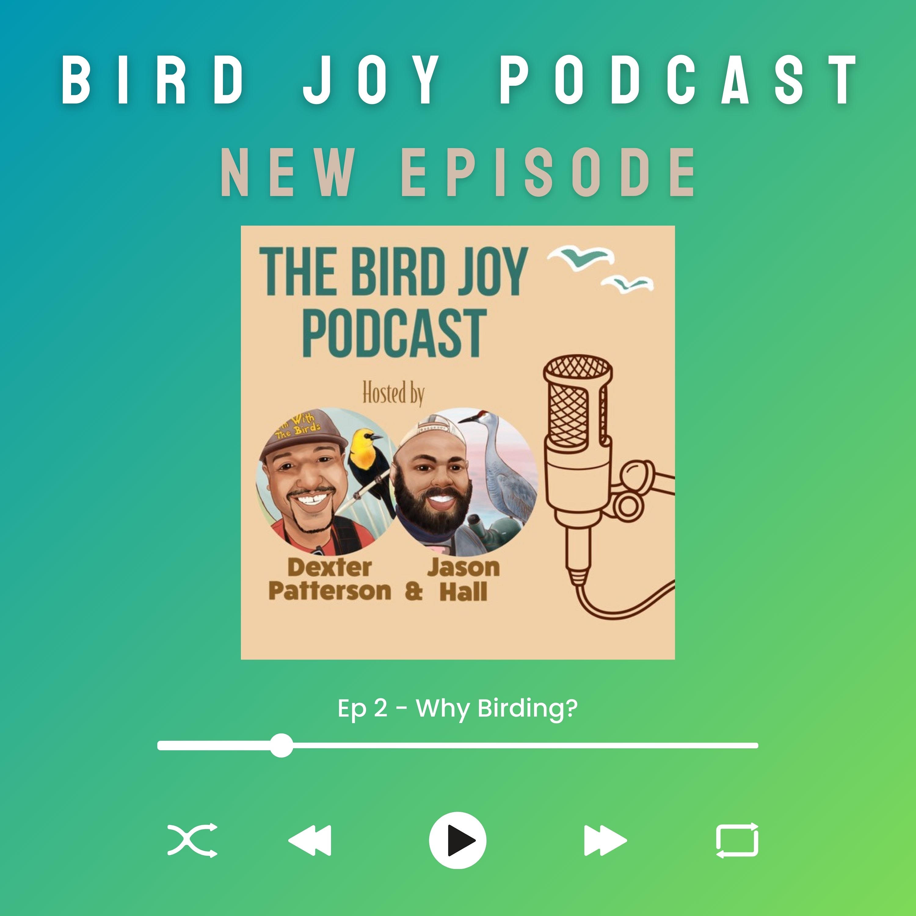 The Bird Joy Podcast