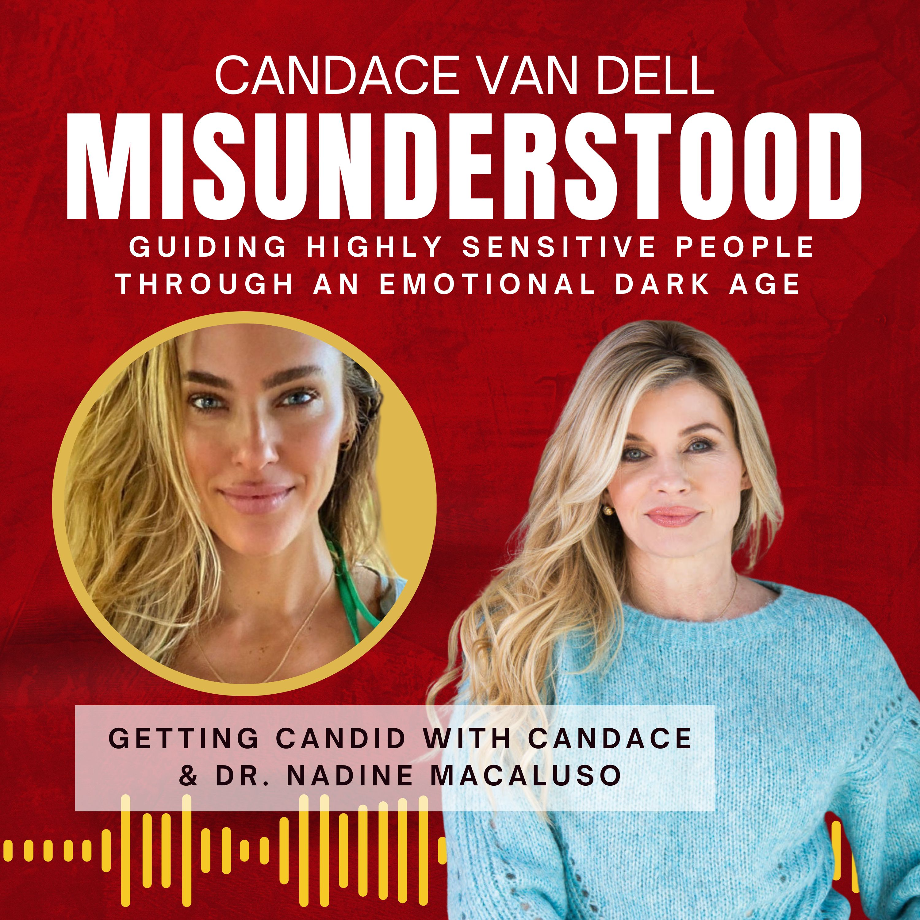 MISUNDERSTOOD: Guiding Highly Sensitive People Through An Emotional Dark Age