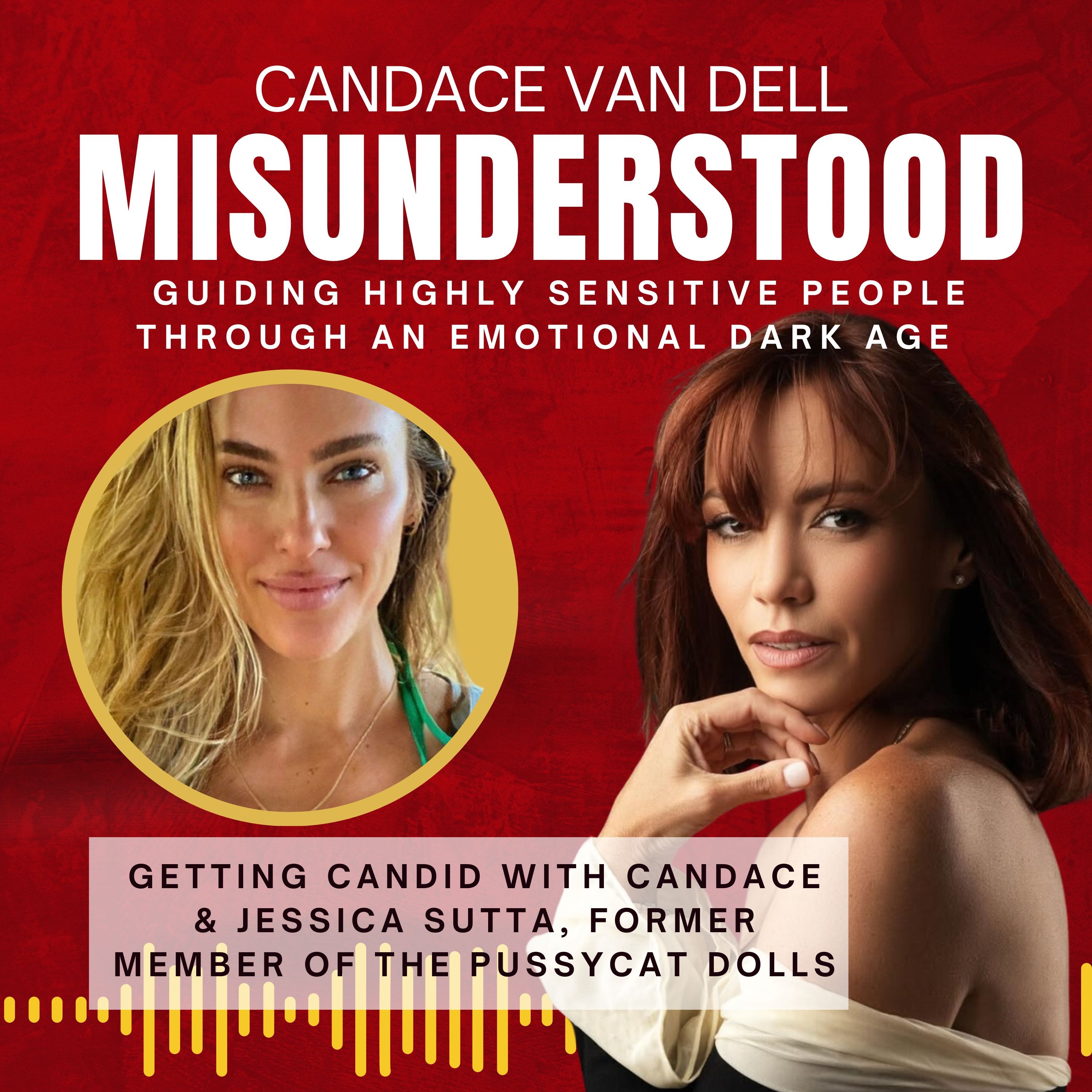 MISUNDERSTOOD: Guiding Highly Sensitive People Through An Emotional Dark Age