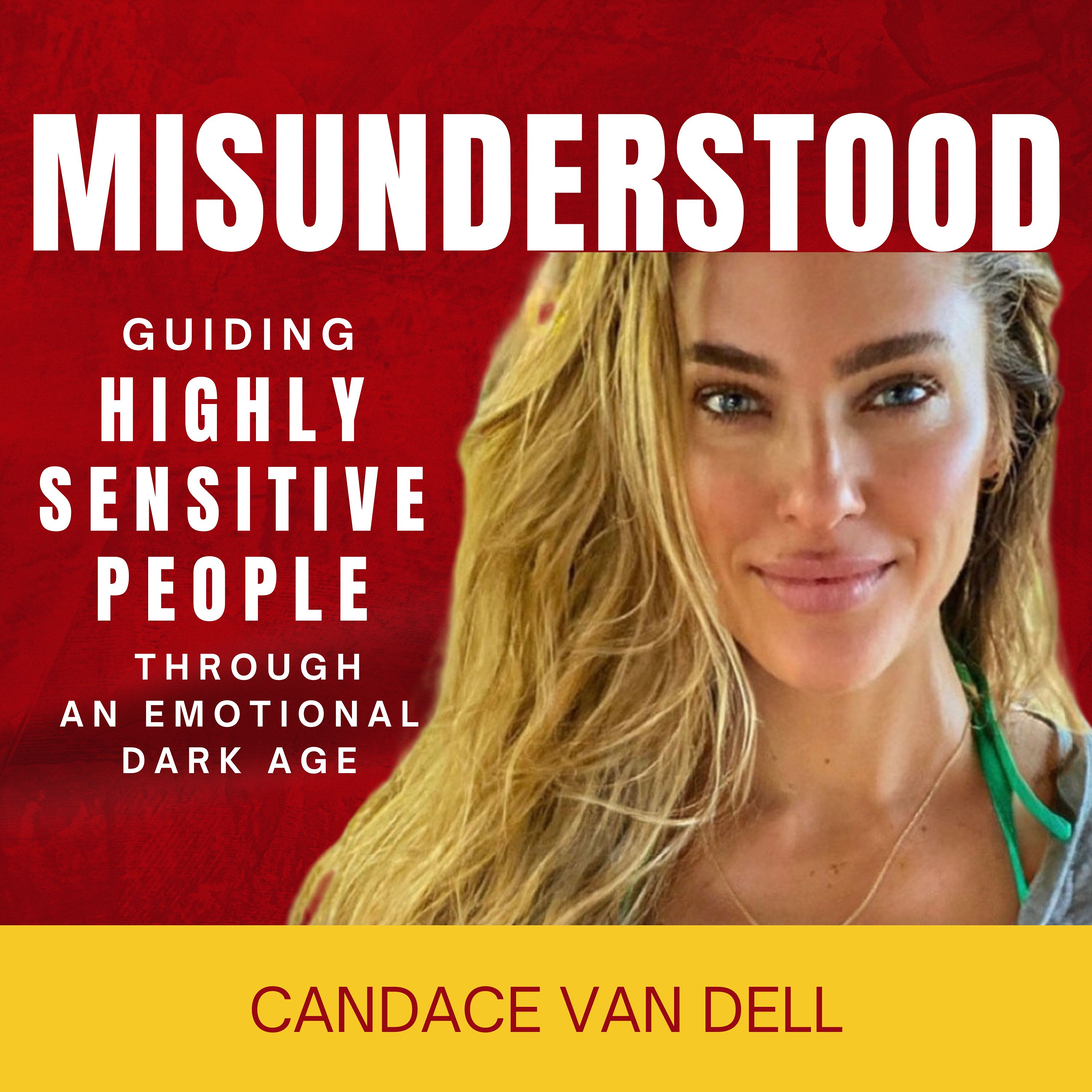 MISUNDERSTOOD: Guiding Highly Sensitive People Through An Emotional Dark Age