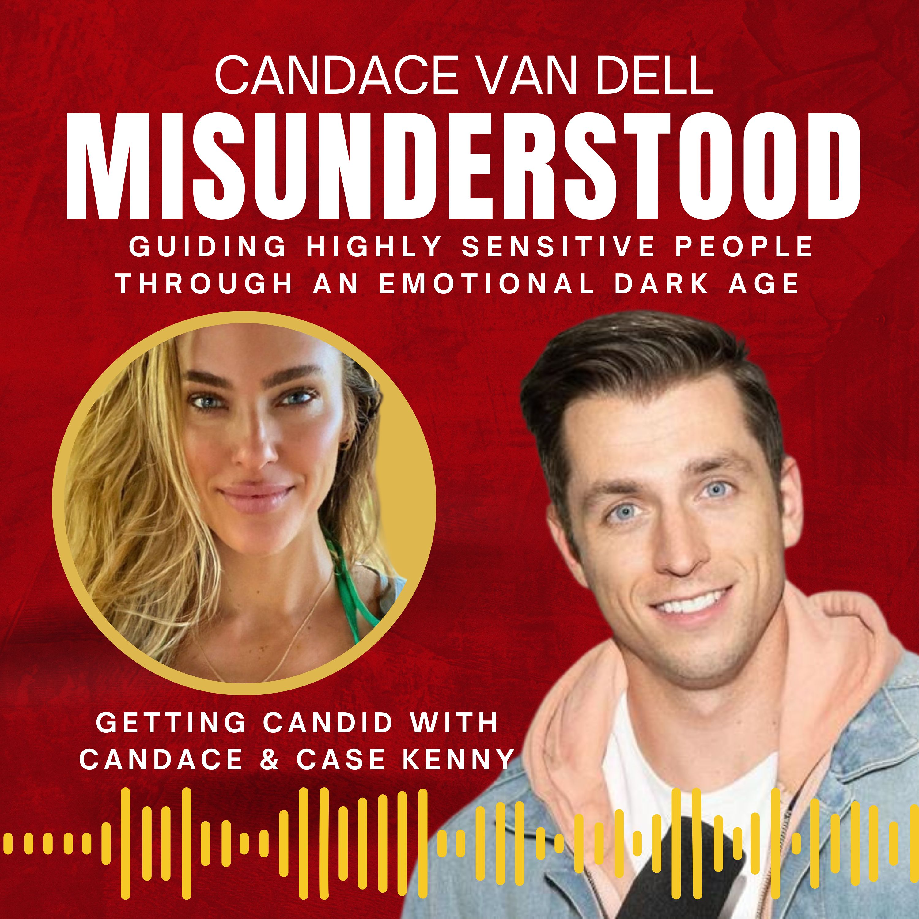 MISUNDERSTOOD: Guiding Highly Sensitive People Through An Emotional Dark Age