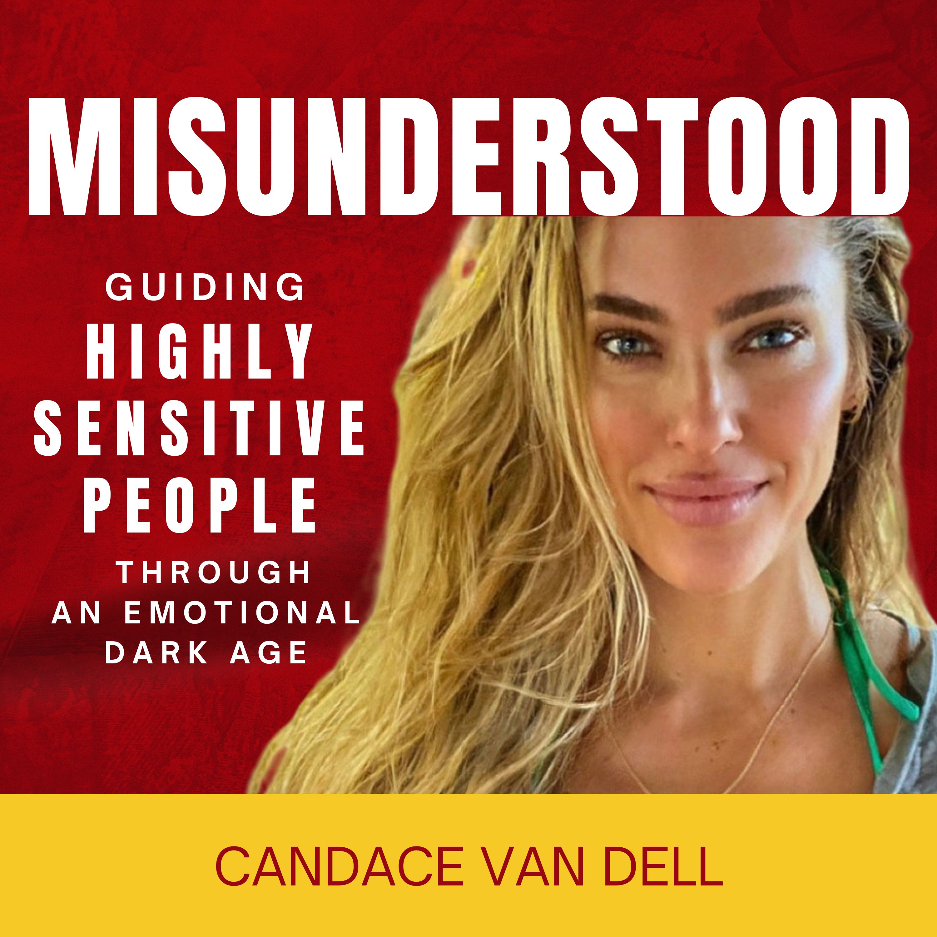 MISUNDERSTOOD: Guiding Highly Sensitive People Through An Emotional Dark Age