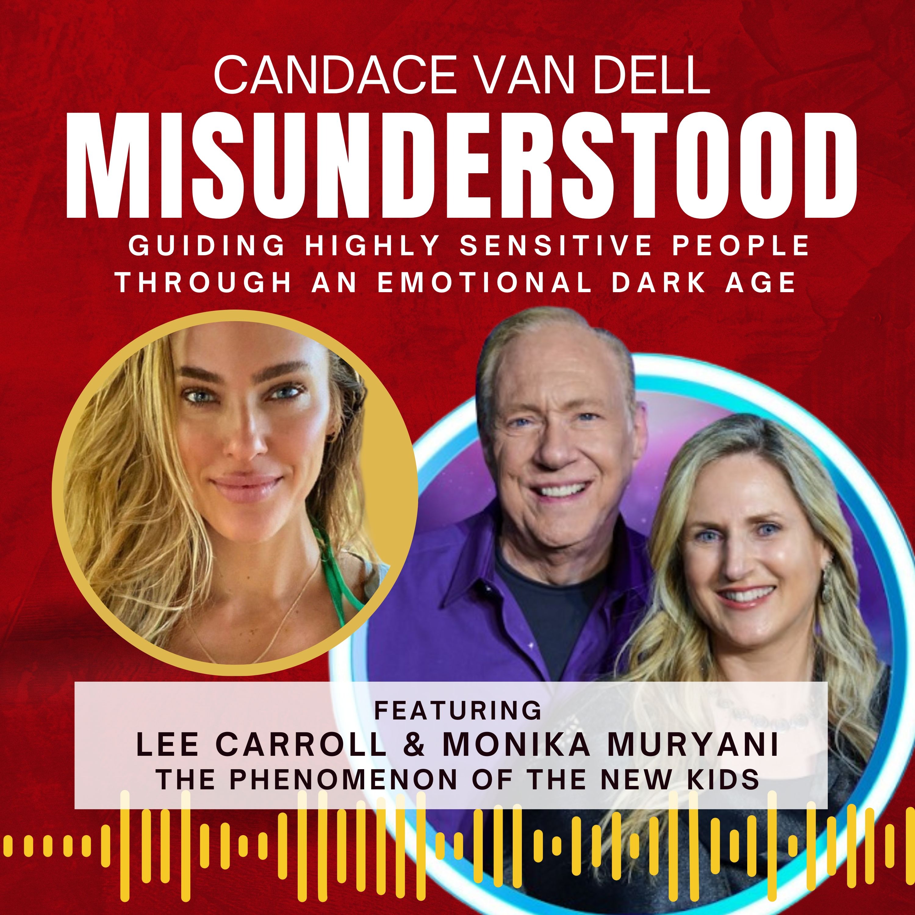 MISUNDERSTOOD: Guiding Highly Sensitive People Through An Emotional Dark Age