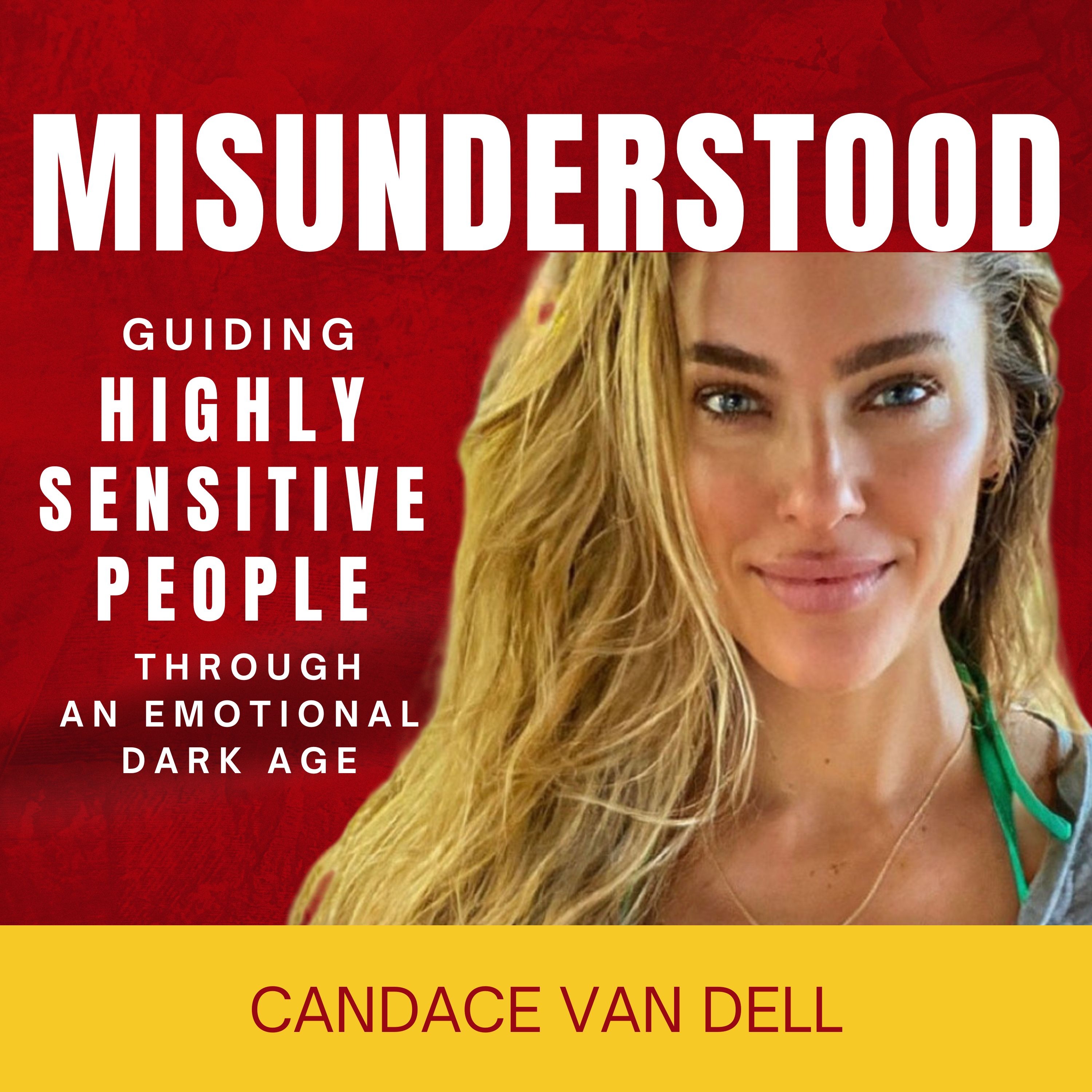 MISUNDERSTOOD: Guiding Highly Sensitive People Through An Emotional Dark Age