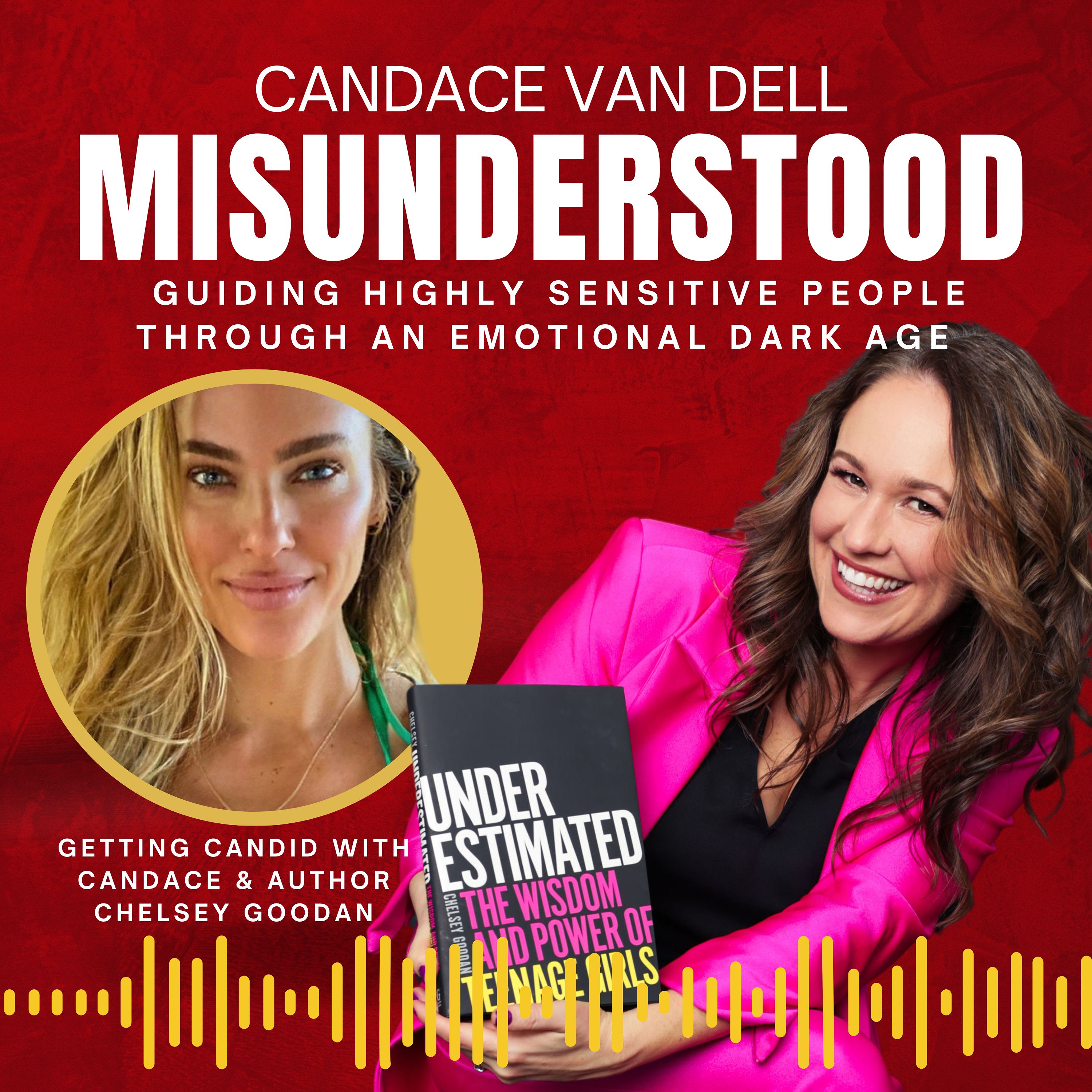 MISUNDERSTOOD: Guiding Highly Sensitive People Through An Emotional Dark Age