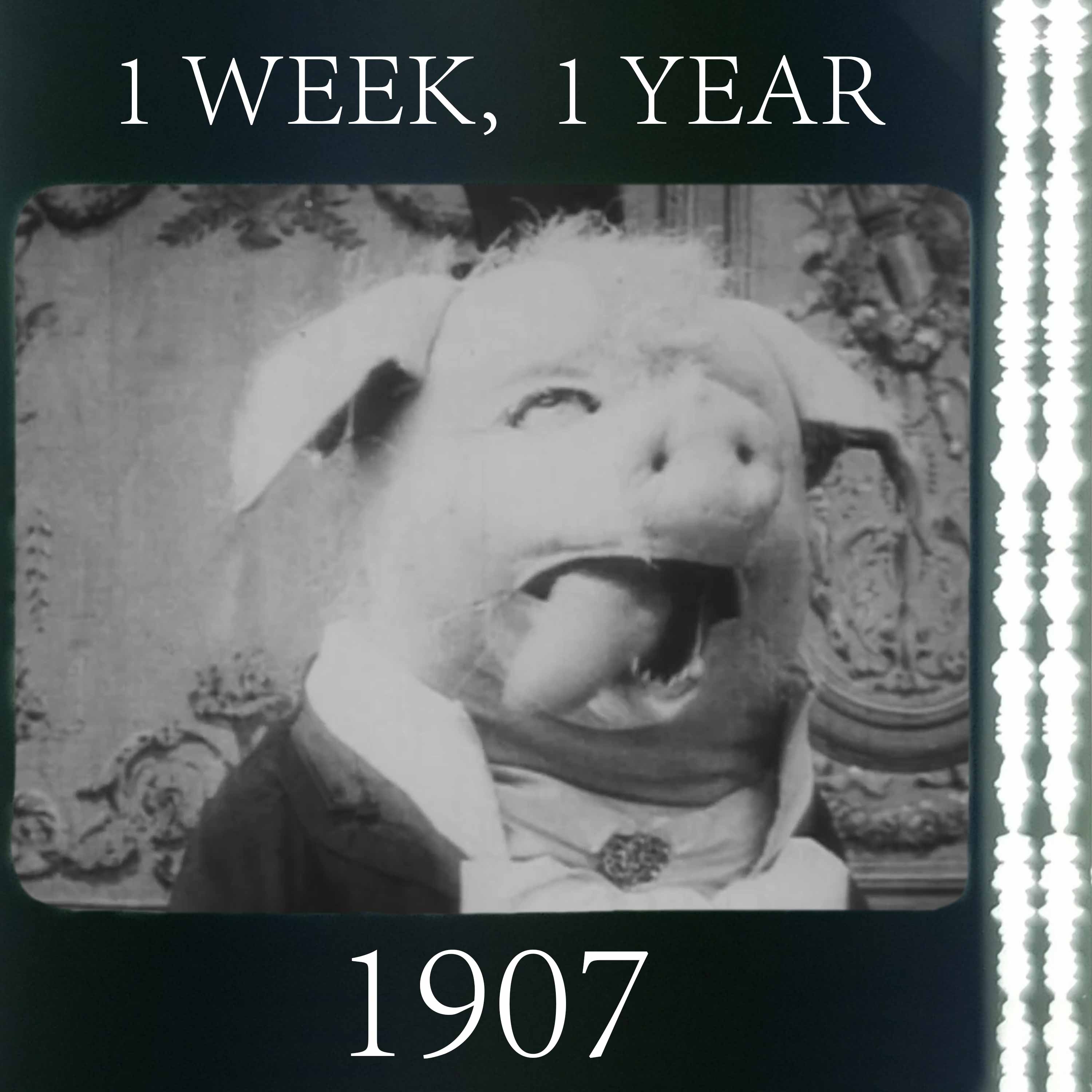 One Week, One Year