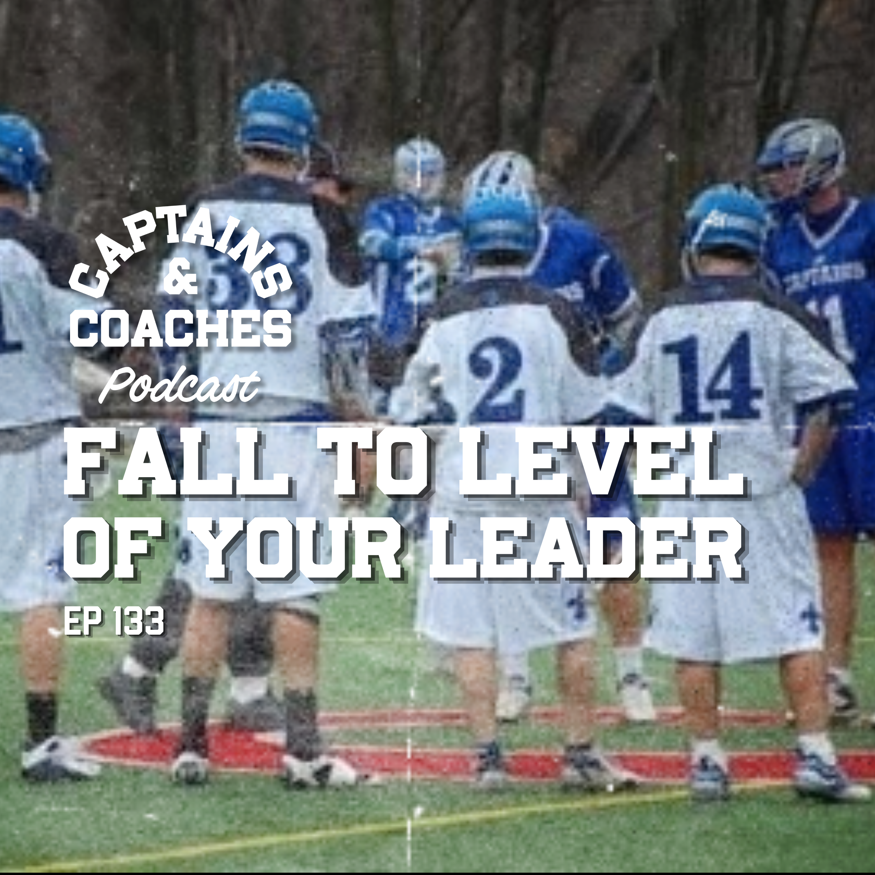 133 - Fall to the Level of Your Leader episode artwork