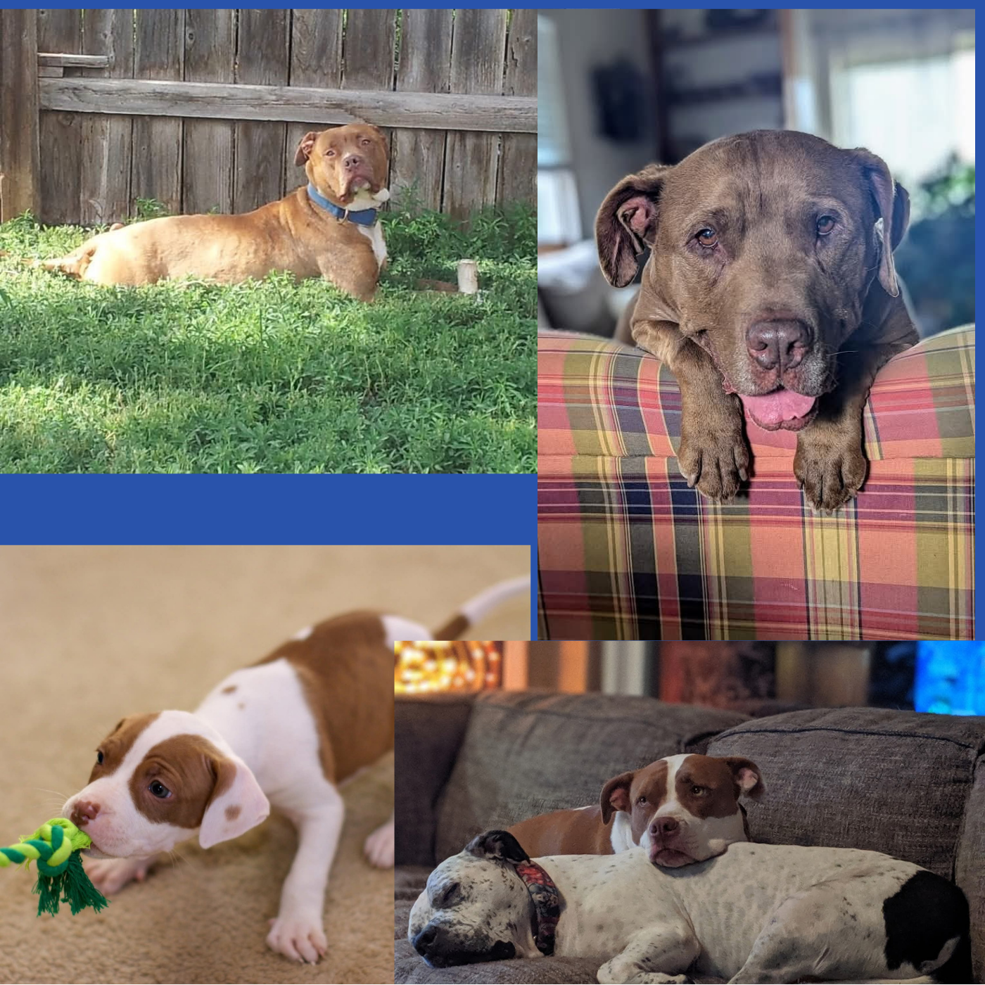 Can We Interest You In...?