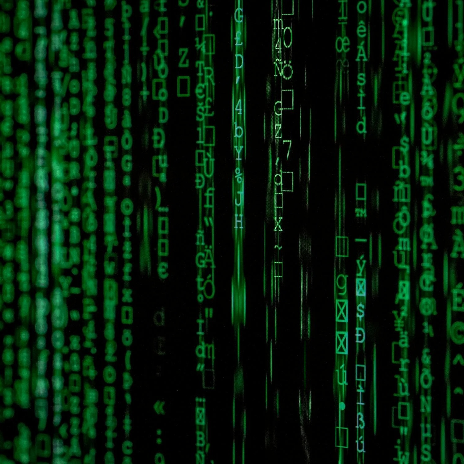 Casey - Cyber Security Expert