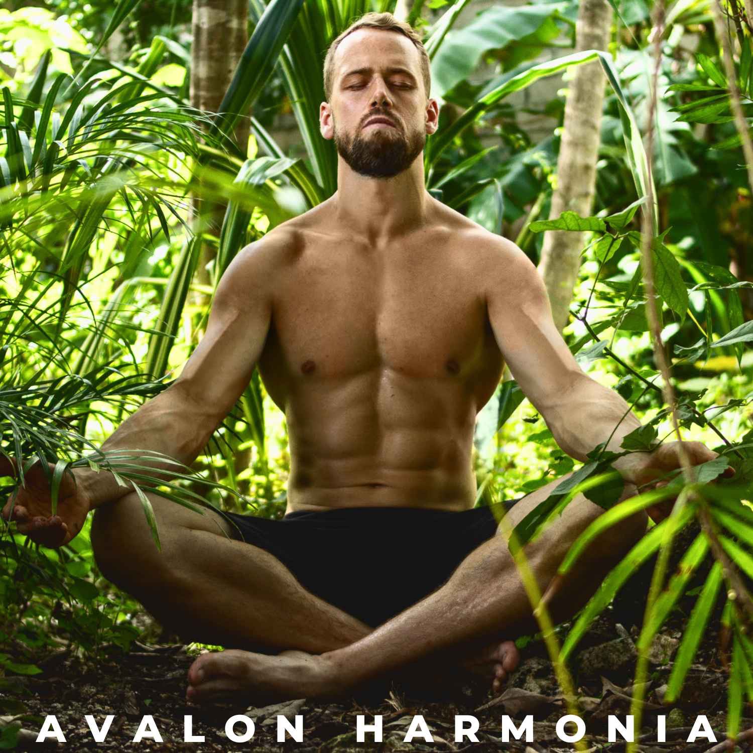 Avalon Harmonia