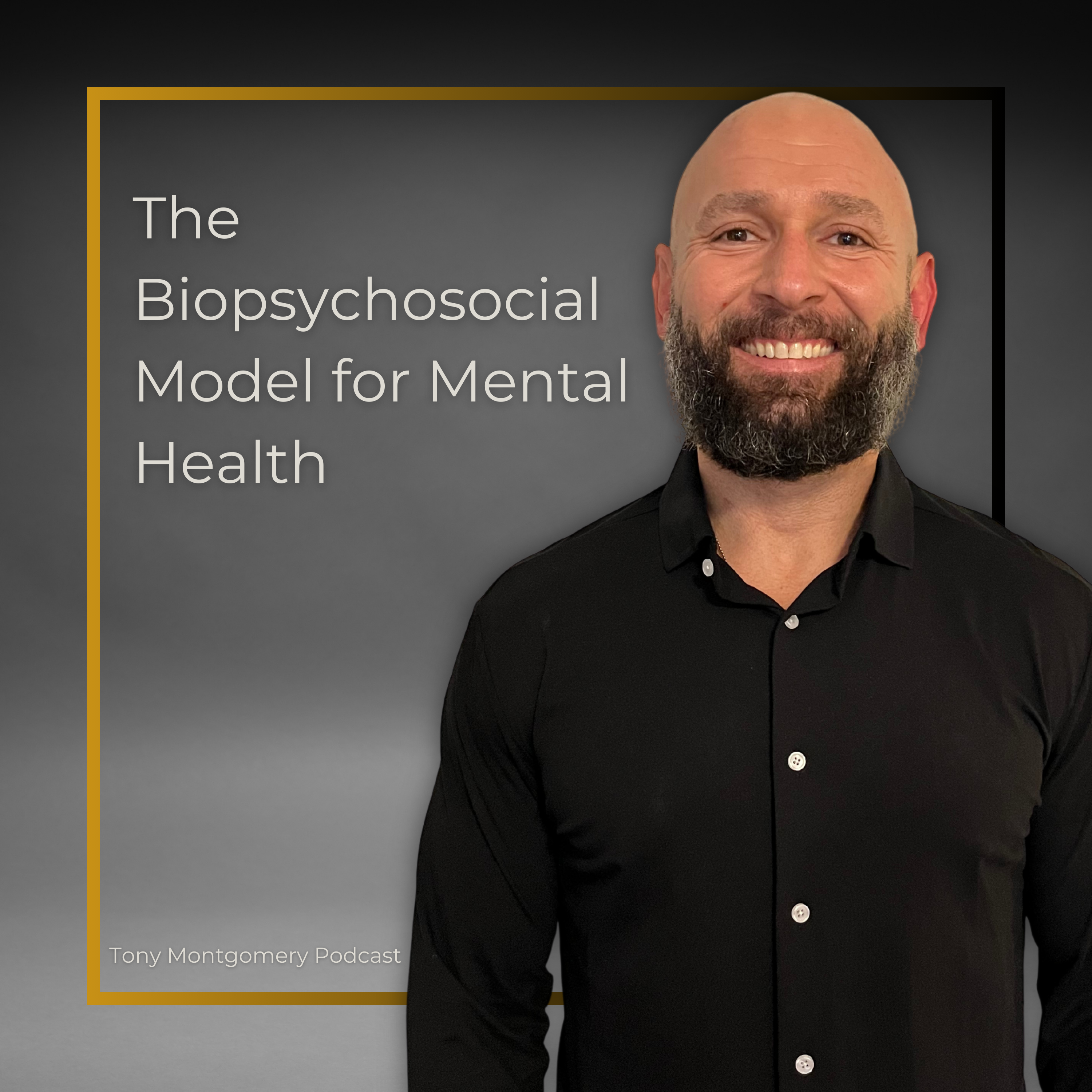 The Biopsychosocial Model for Mental Health episode artwork