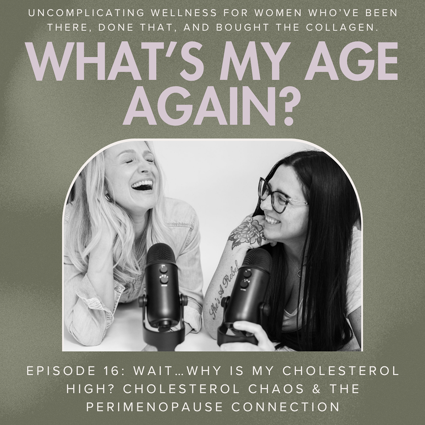 Episode 16:  Wait…Why is My Cholesterol High?  Cholesterol Chaos & The Perimenopause Connection episode artwork