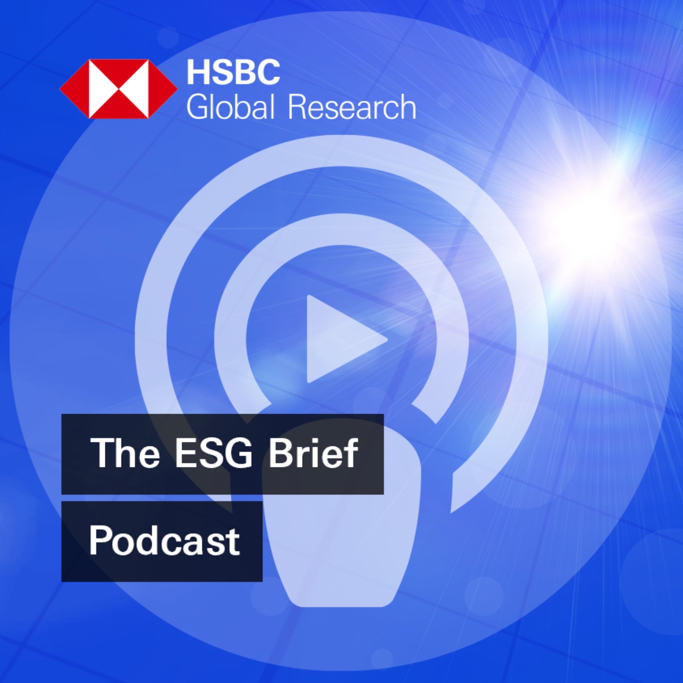 The ESG Brief - What 352 finance professionals are telling us