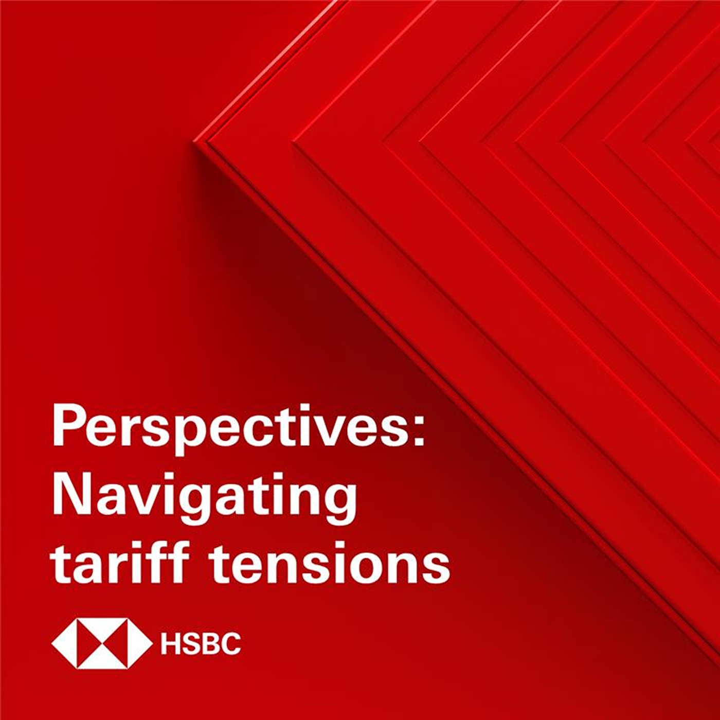 Perspectives: Navigating tariff tensions