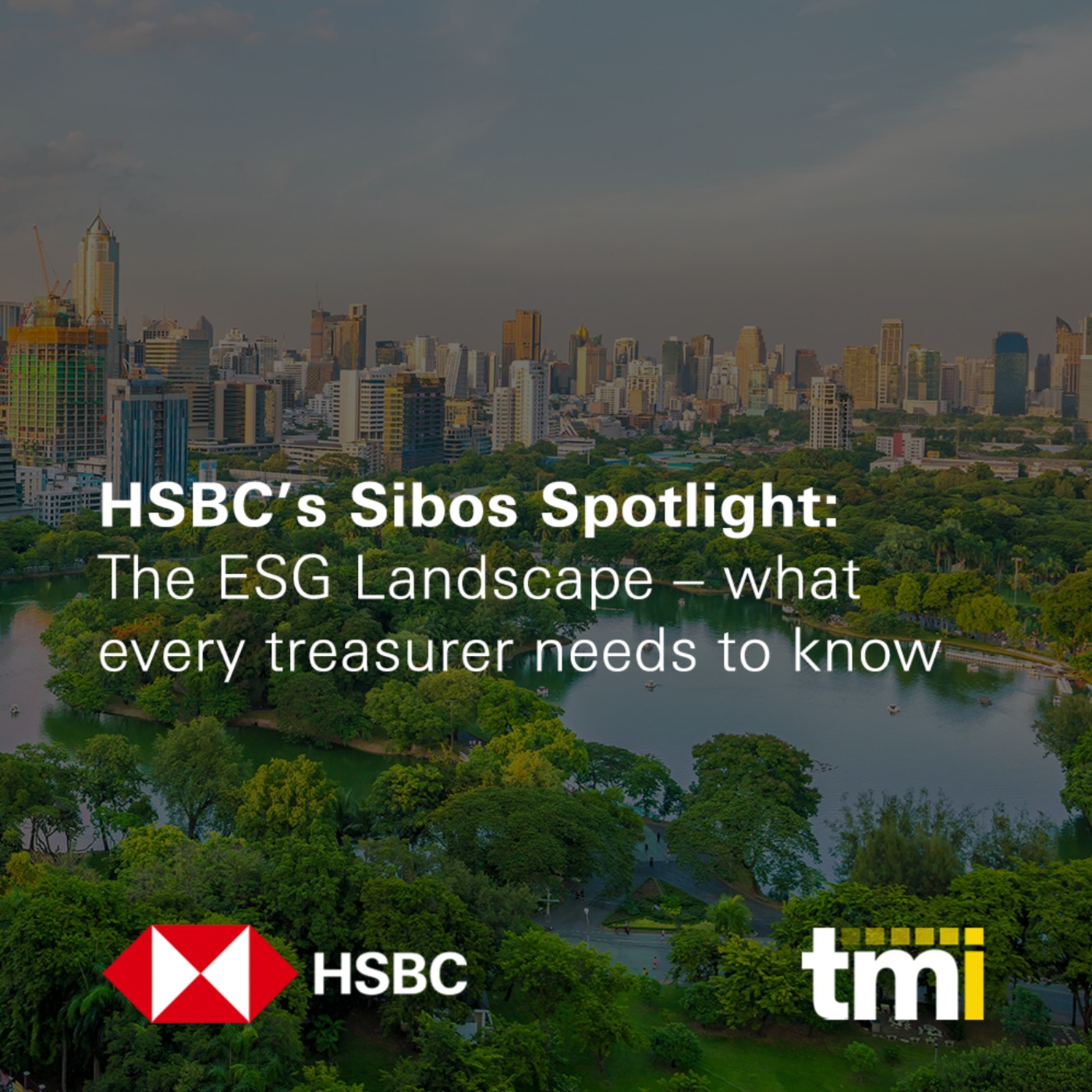 HSBC Global Viewpoint