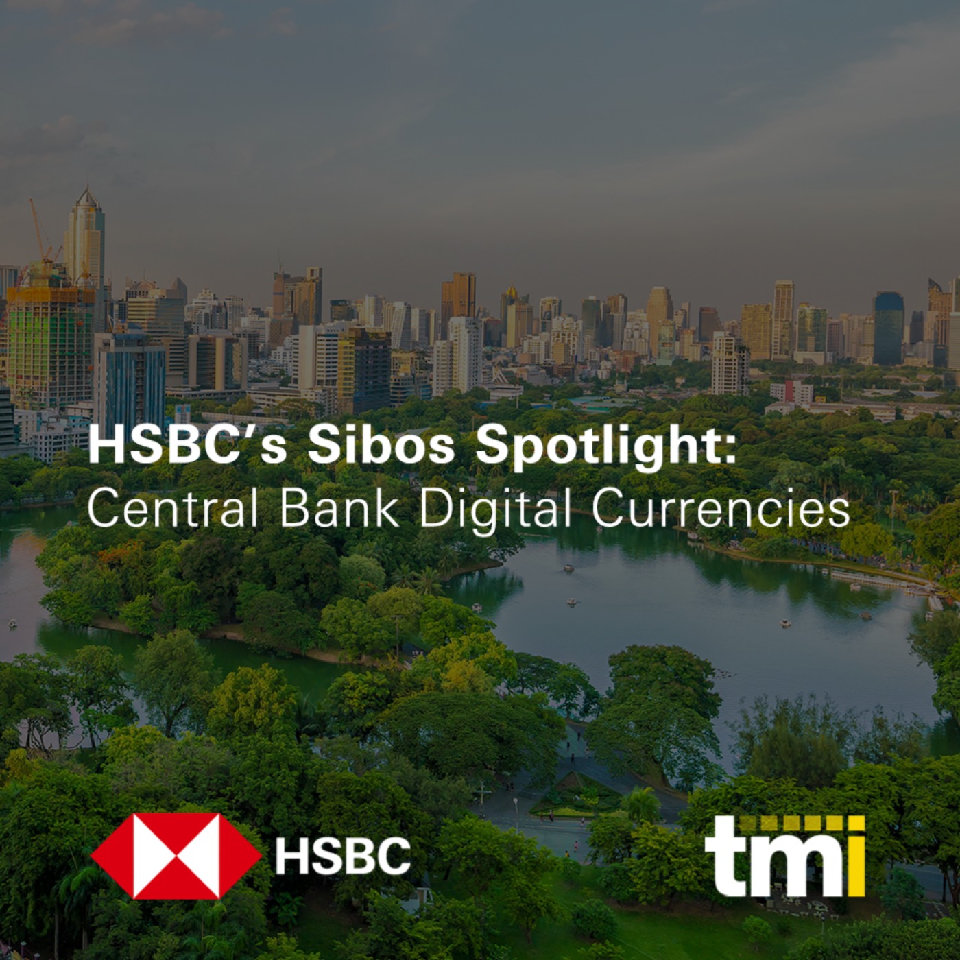 HSBC Global Viewpoint