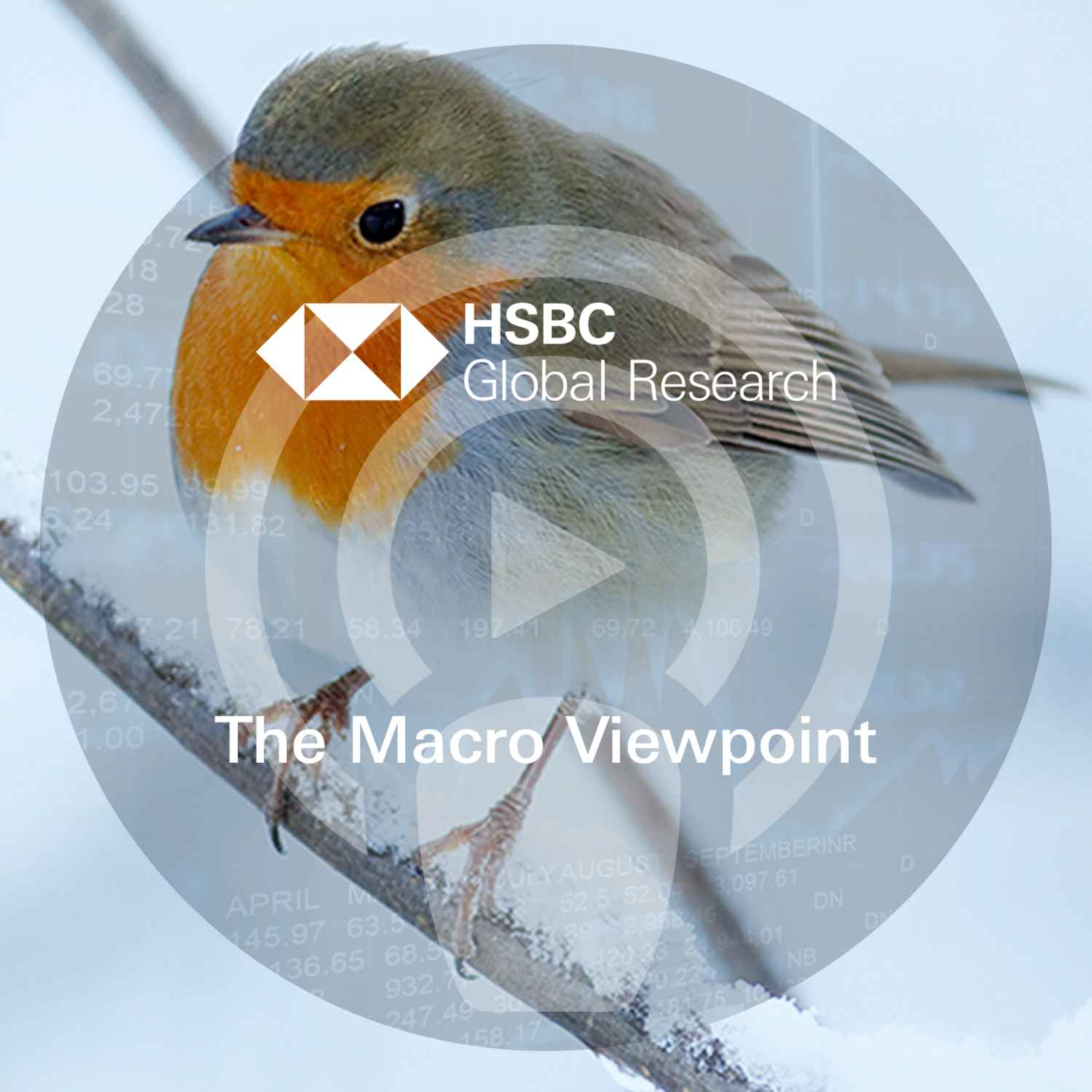 The Macro Viewpoint - Global economics, China and FX outlooks