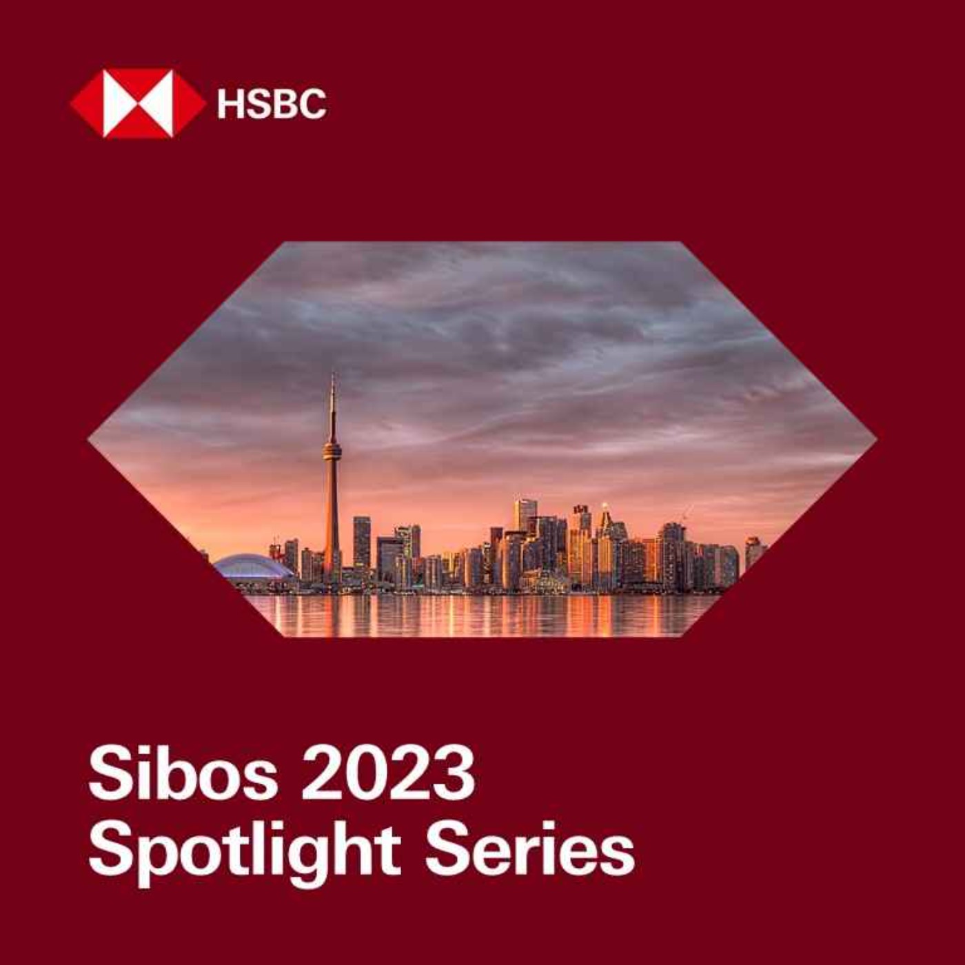 HSBC Global Viewpoint