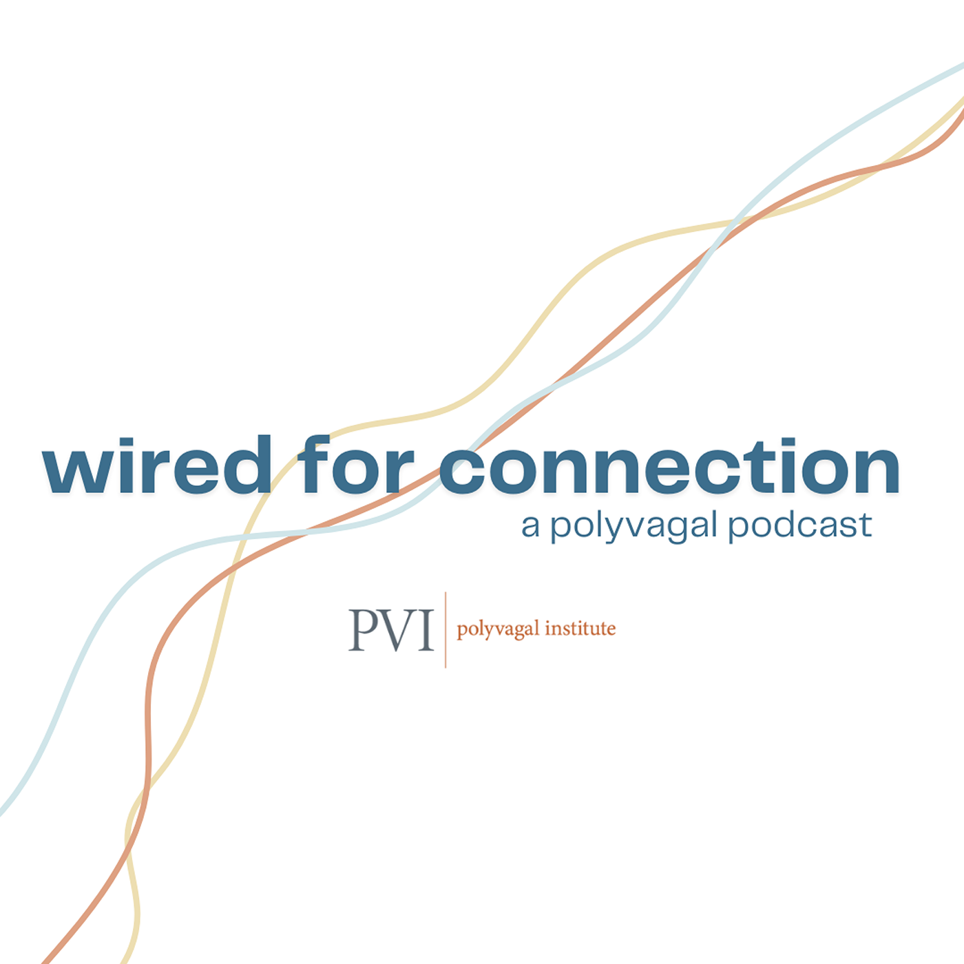 Our Gut-Brain Connection & How it Relates to Polyvagal Theory