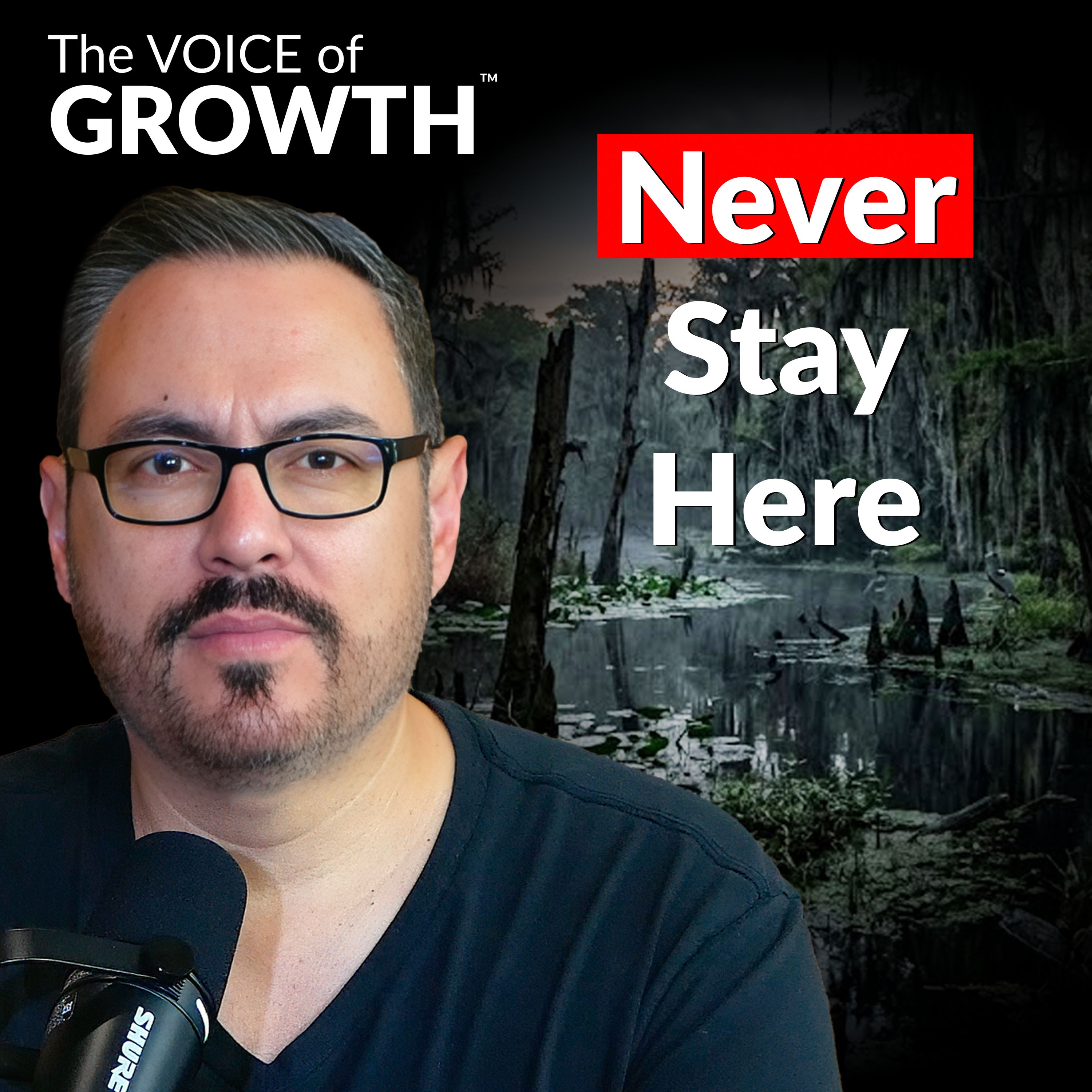 Visit But Don't Stay episode artwork