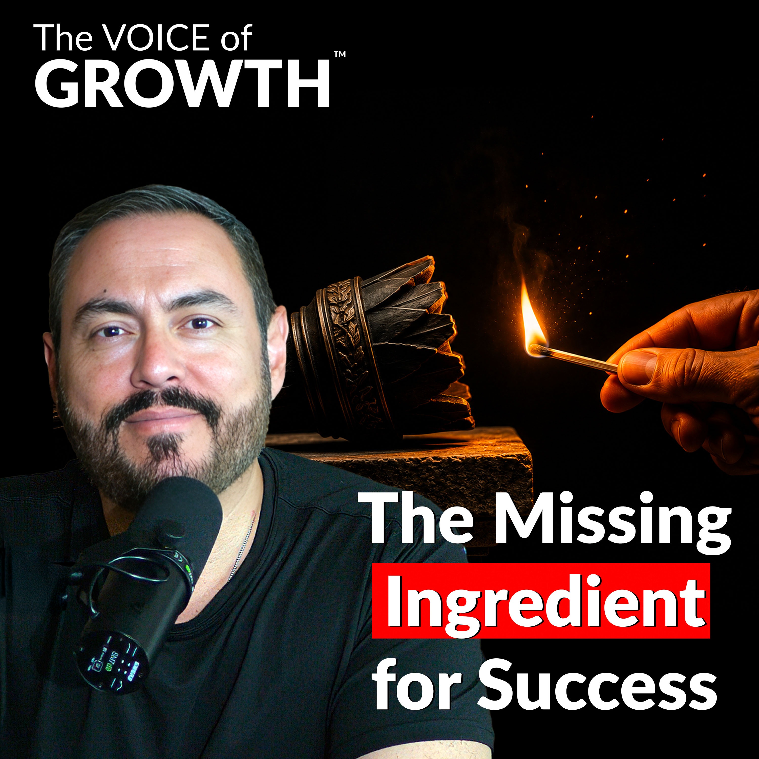 The Missing Ingredient of Success episode artwork