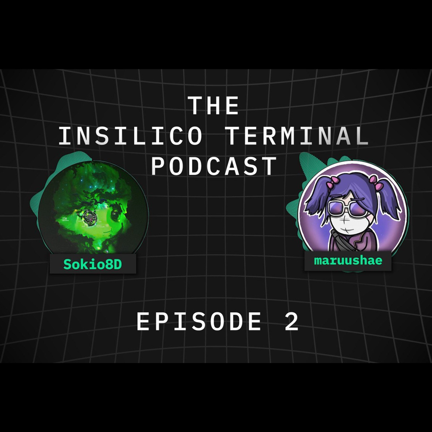 Insilico Terminal Podcast Episode 2 - Marusha