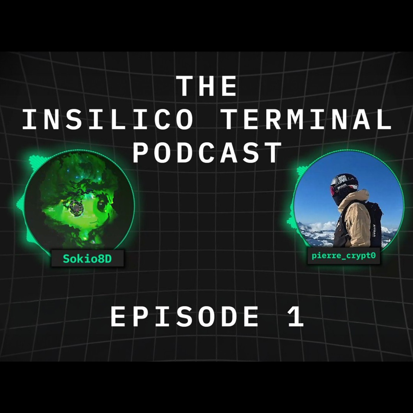 Insilico Terminal Podcast Episode 1 - Pierre Crypto