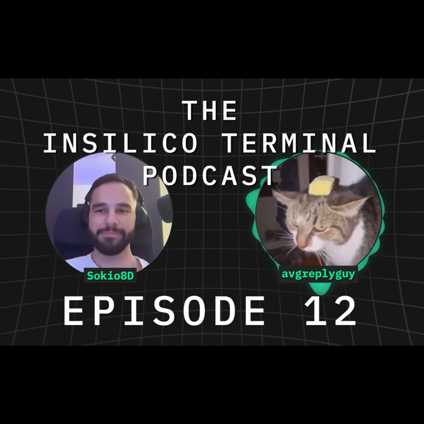 Insilico Terminal Podcast Episode 12 - Avgreplyguy