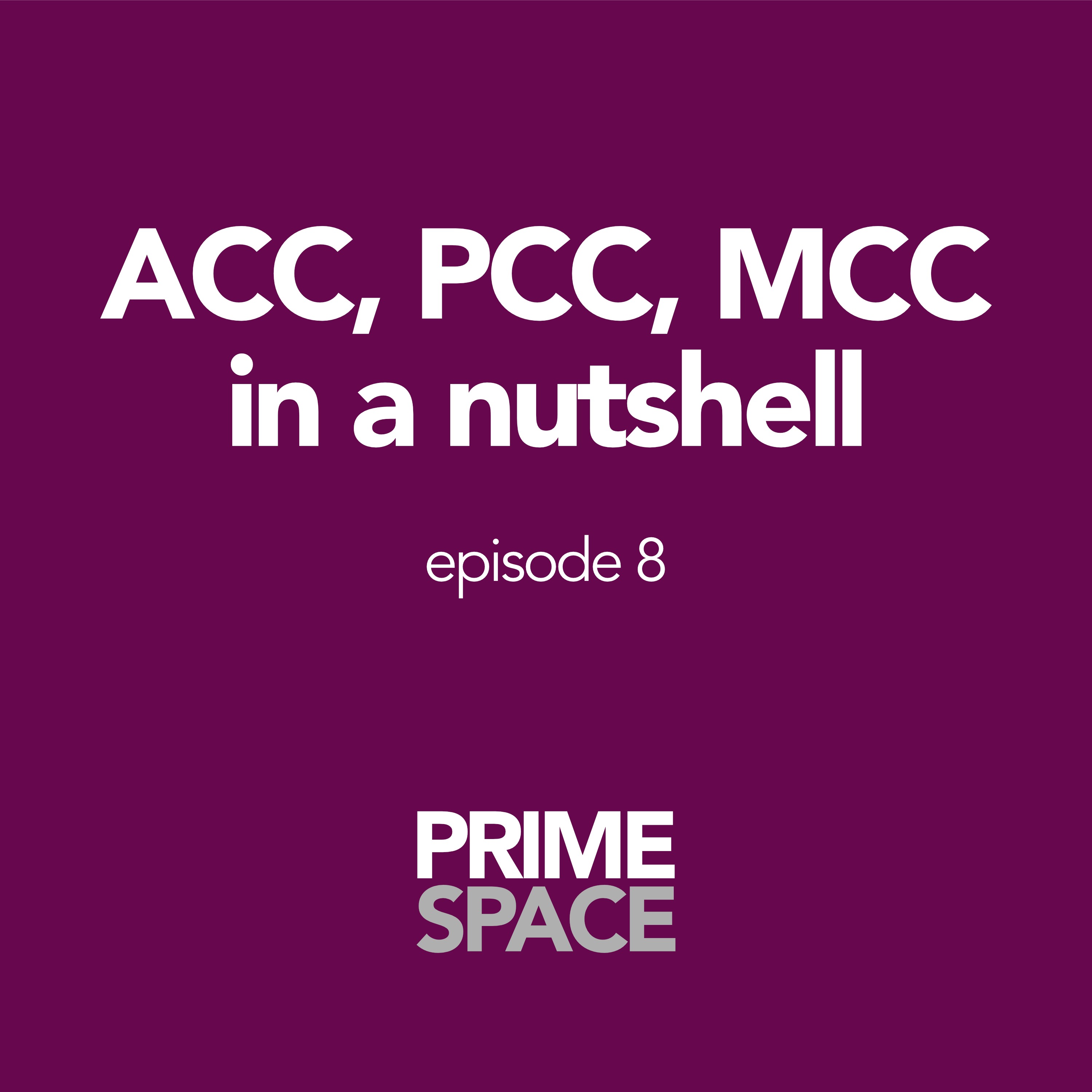 PRIME SPACE