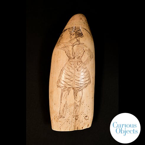 Whale Teeth and the Pirate Princess Whale Teeth and the Pirate Princess